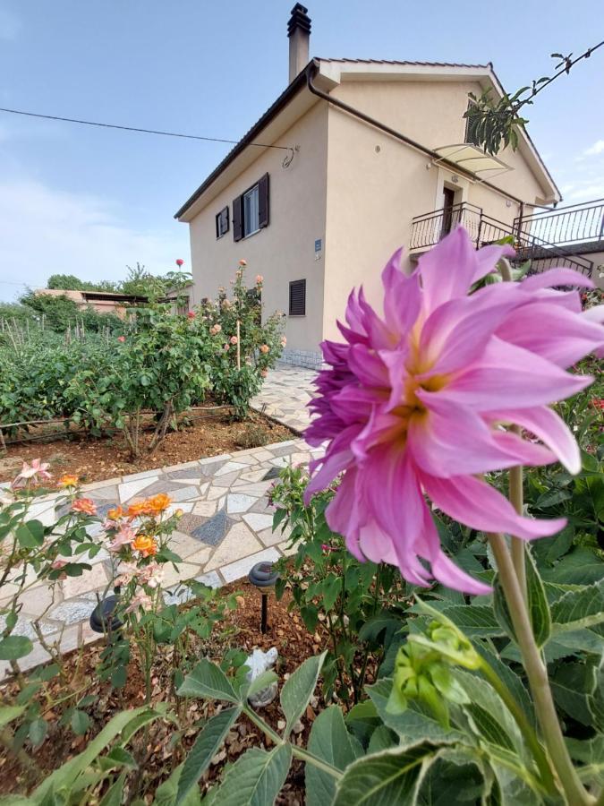 Apartments Rusin Linardici Екстер'єр фото